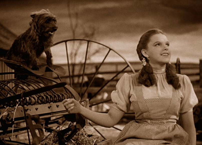 Captura De Tela 2026 02 25 114644